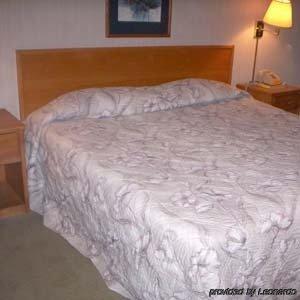 Princess Motel Maryville Ruang foto